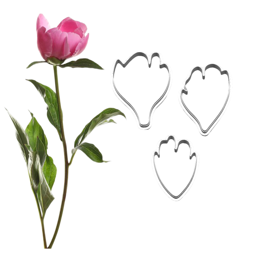 New Peony Silicone Molds&Cutte - Candle Making Workshop 评论和价格