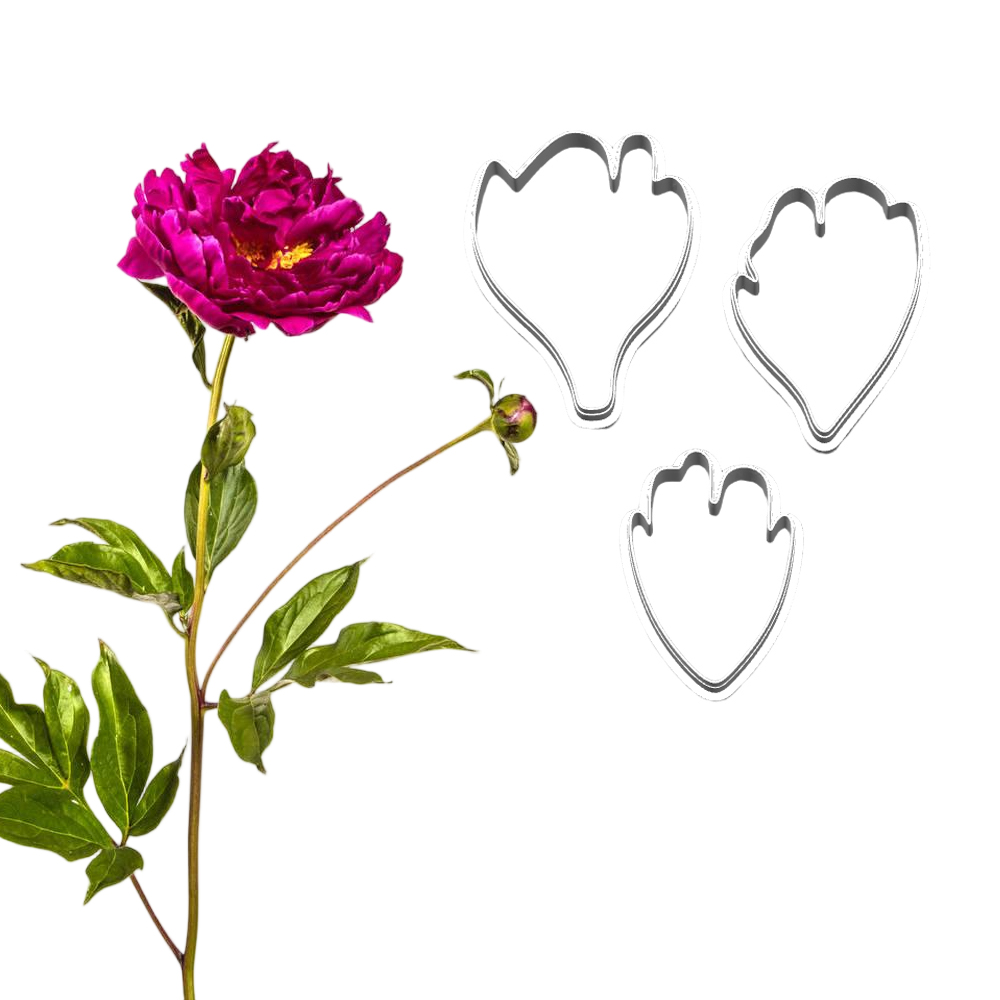 New Peony Silicone Molds&Cutte - Candle Making Workshop 评论和价格
