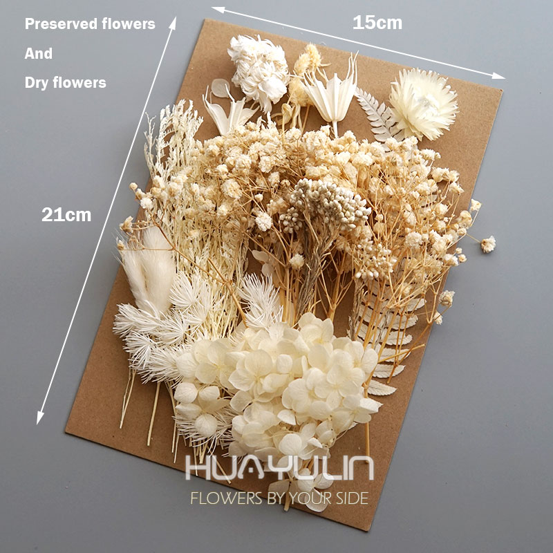 1 Pack Artificial Plants Dried - Candle Making Supplies 评论和价格